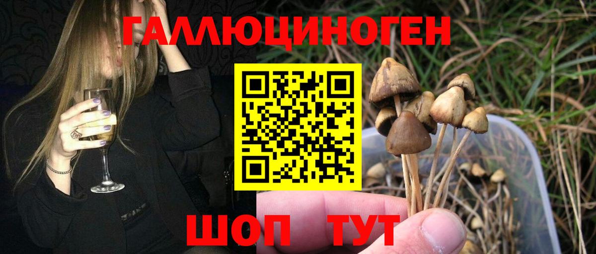 Уфа  Галлюциногенные грибы Cubensis  Вход с VPN  Галлюциногенные грибы мицелий 
